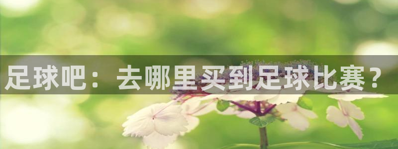 足球吧：去哪里买到足球比赛？