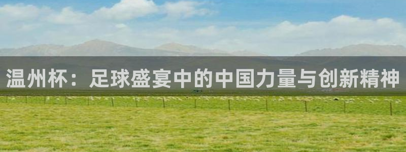 温州杯：足球盛宴中的中国力量与创新精神