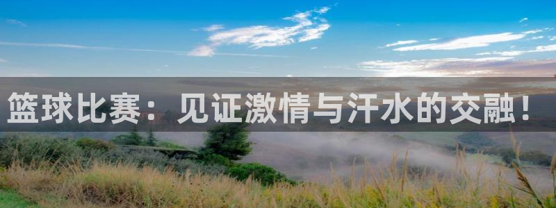 MK体育官网登录入口：篮球比赛：见证激情与汗水的交融！