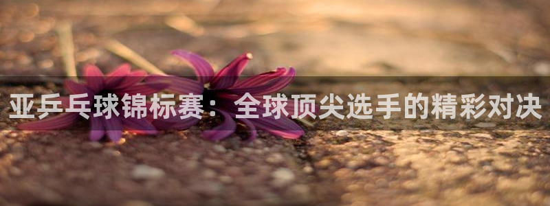 Mk体育游戏网站：亚乒乓球锦标赛：全球顶尖选手的精彩对决