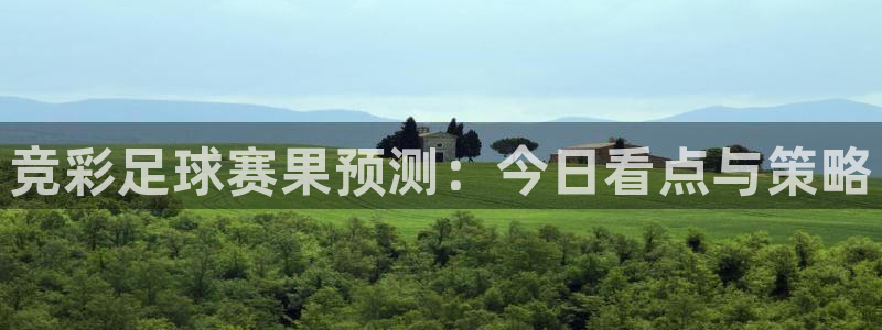 mk体育平台网址：竞彩足球赛果预测：今日看点与策略