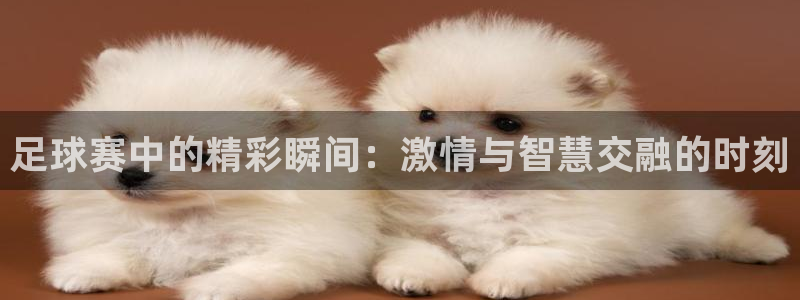 mk体育官网登录入口网址是什么：足球赛中的精彩瞬间：激情与智